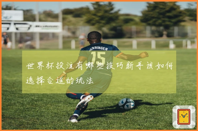 世界杯投注有哪些技巧新手该如何选择合适的玩法