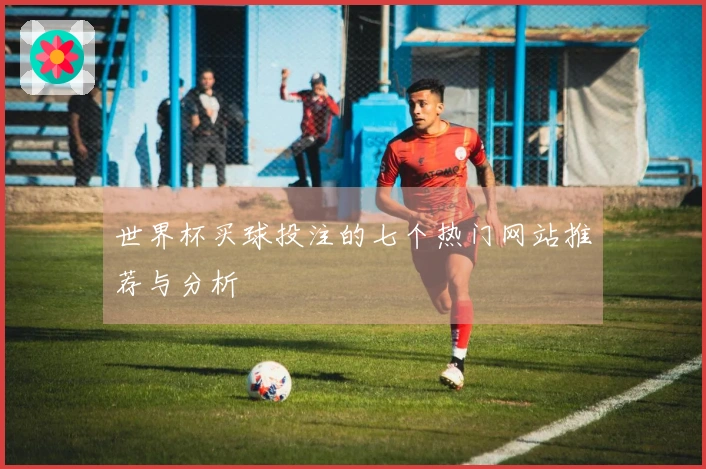 世界杯买球投注的七个热门网站推荐与分析