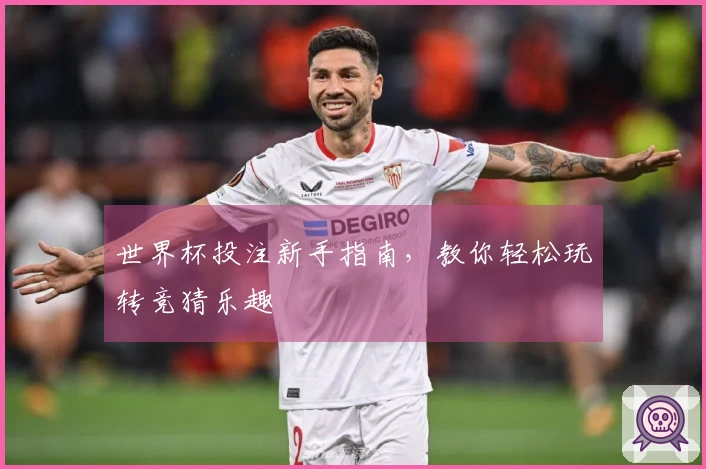 世界杯投注新手指南，教你轻松玩转竞猜乐趣