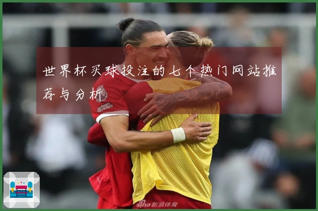 世界杯买球投注的七个热门网站推荐与分析