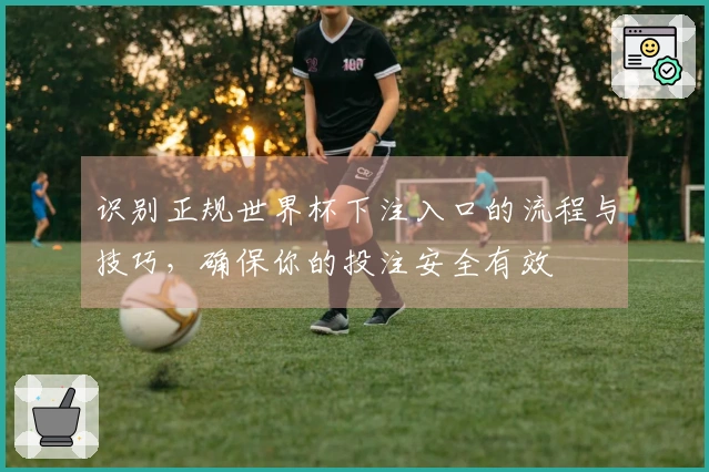 识别正规世界杯下注入口的流程与技巧，确保你的投注安全有效