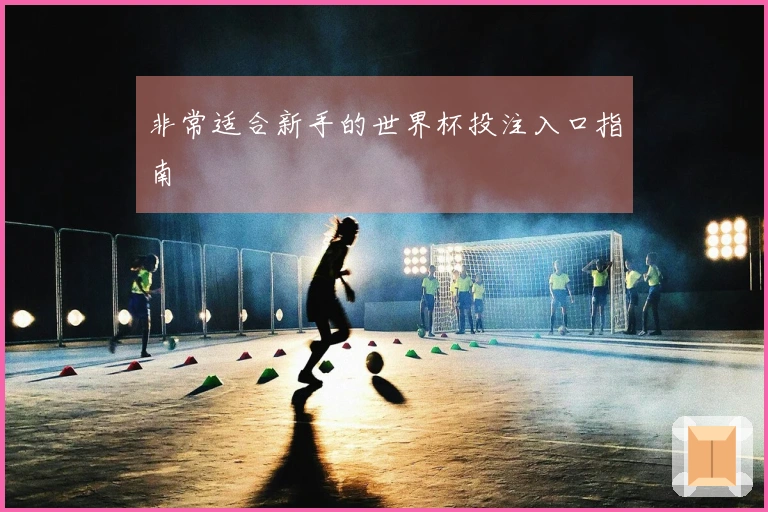 非常适合新手的世界杯投注入口指南