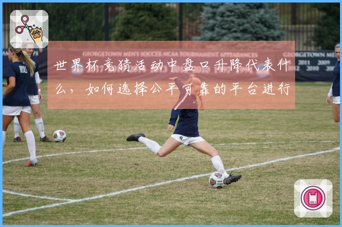 世界杯竞猜活动中盘口升降代表什么，如何选择公平可靠的平台进行投注