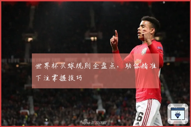世界杯买球规则全盘点，助你精准下注掌握技巧
