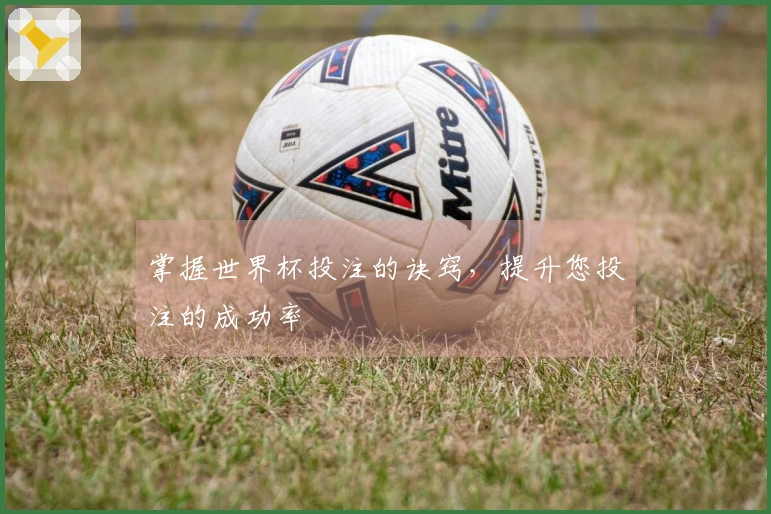 掌握世界杯投注的诀窍，提升您投注的成功率