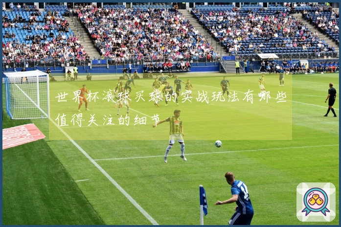 世界杯滚球买球的实战玩法有哪些值得关注的细节