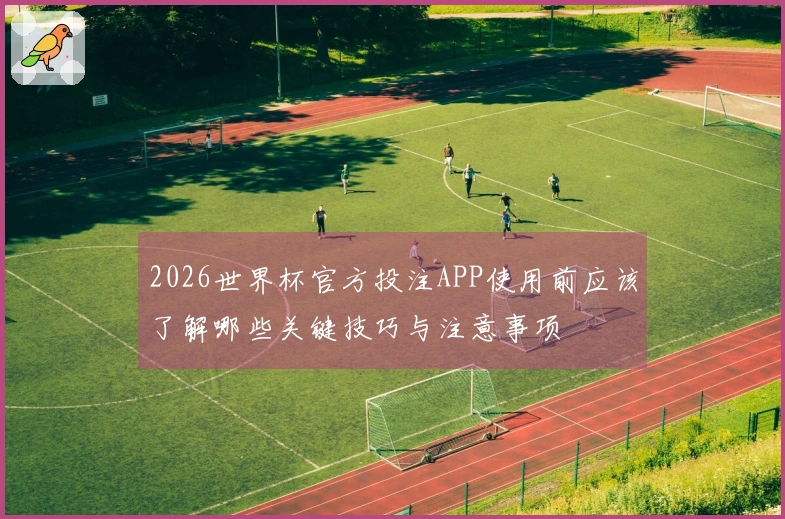 2026世界杯官方投注APP使用前应该了解哪些关键技巧与注意事项