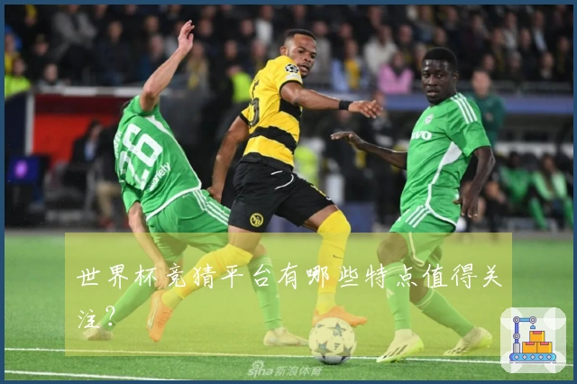 世界杯竞猜平台有哪些特点值得关注？