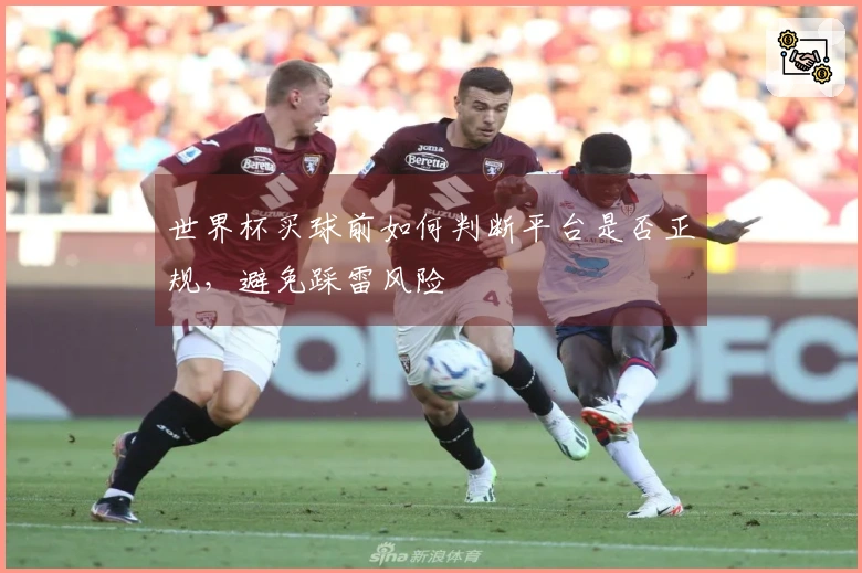 世界杯买球前如何判断平台是否正规，避免踩雷风险