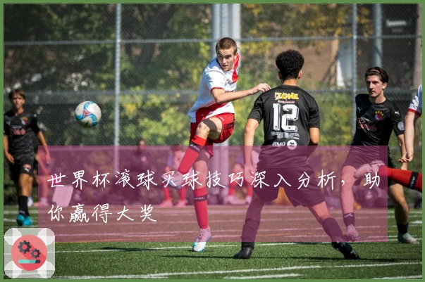 世界杯滚球买球技巧深入分析，助你赢得大奖