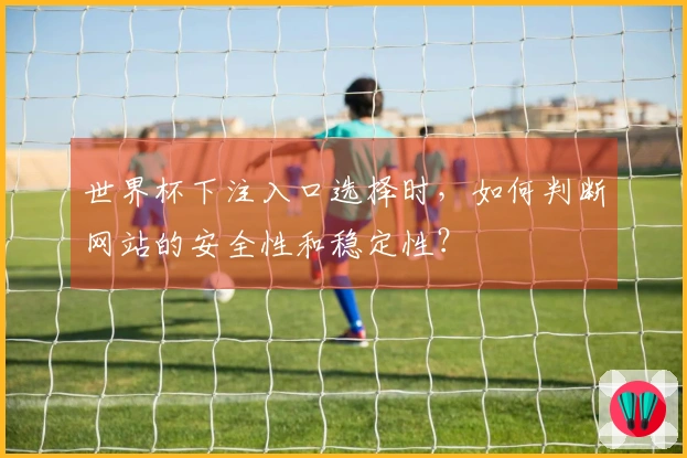 世界杯下注入口选择时，如何判断网站的安全性和稳定性？