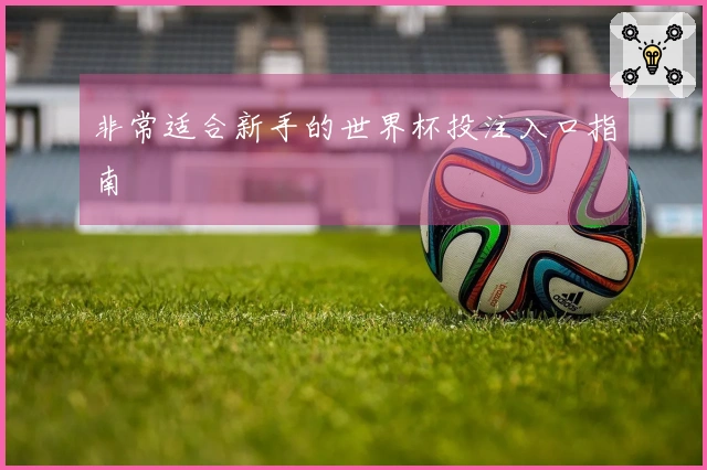 非常适合新手的世界杯投注入口指南