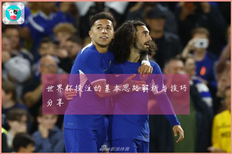 世界杯投注的基本思路解析与技巧分享