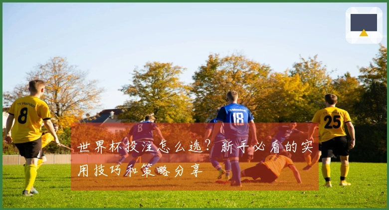 世界杯投注怎么选？新手必看的实用技巧和策略分享