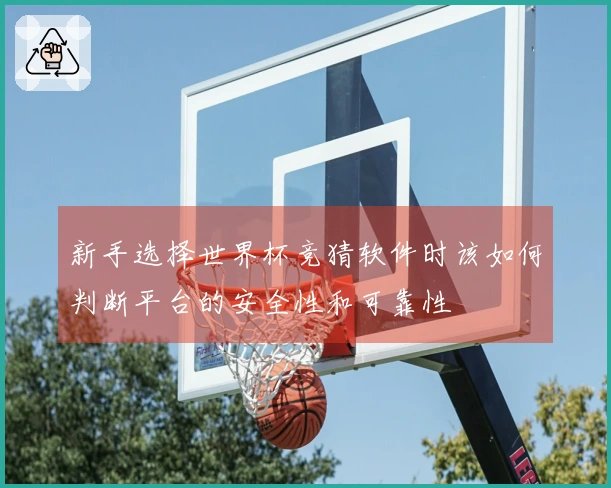 新手选择世界杯竞猜软件时该如何判断平台的安全性和可靠性