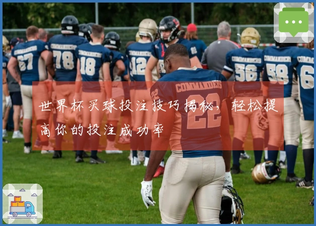 世界杯买球投注技巧揭秘，轻松提高你的投注成功率