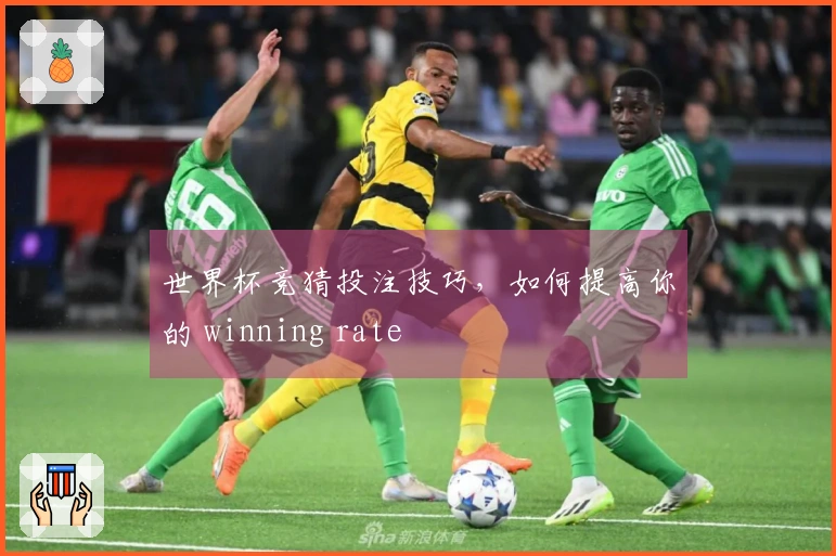 世界杯竞猜投注技巧，如何提高你的 winning rate