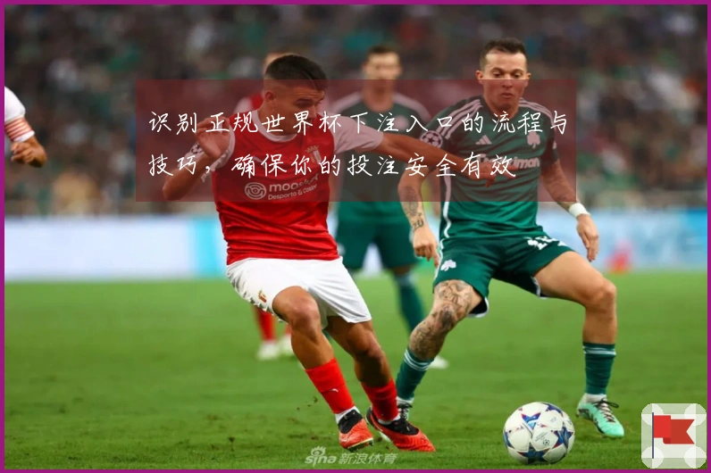 识别正规世界杯下注入口的流程与技巧，确保你的投注安全有效