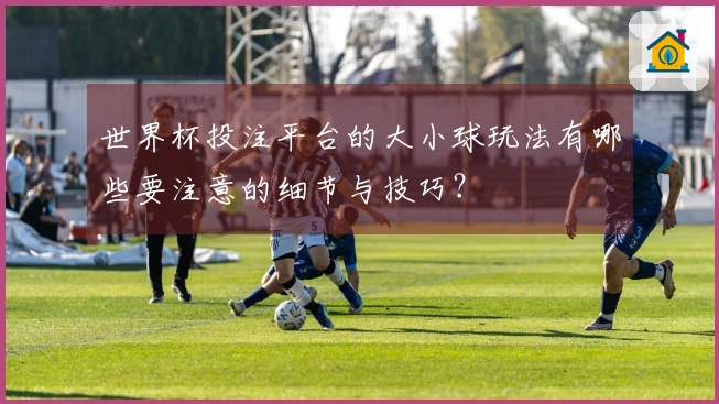 世界杯投注平台的大小球玩法有哪些要注意的细节与技巧？