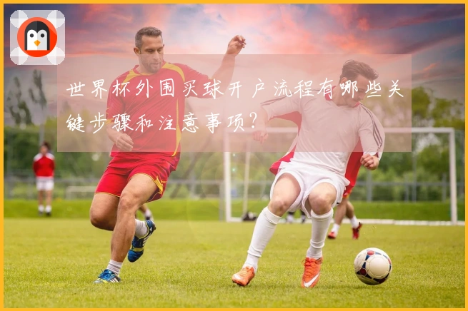 世界杯外围买球开户流程有哪些关键步骤和注意事项？