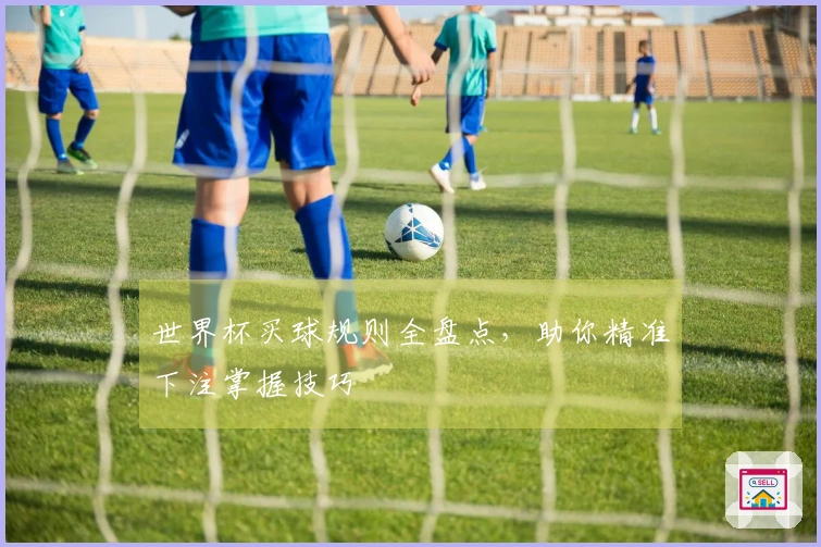 世界杯买球规则全盘点，助你精准下注掌握技巧