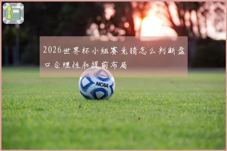 2026世界杯小组赛竞猜怎么判断盘口合理性和提前布局