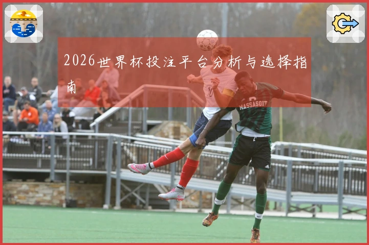 2026世界杯投注平台分析与选择指南