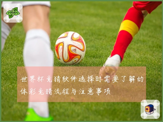 世界杯竞猜软件选择时需要了解的体彩竞猜流程与注意事项