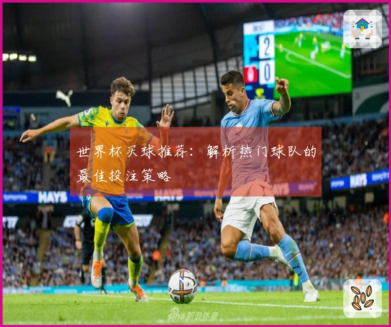 世界杯买球推荐：解析热门球队的最佳投注策略