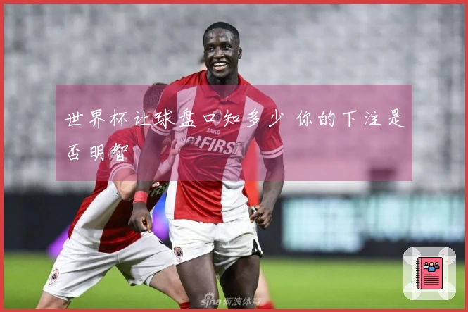 世界杯让球盘口知多少 你的下注是否明智