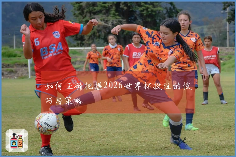 如何正确把握2026世界杯投注的技巧与策略