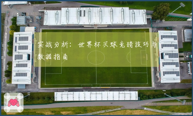 实战分析：世界杯买球竞猜技巧与数据指南