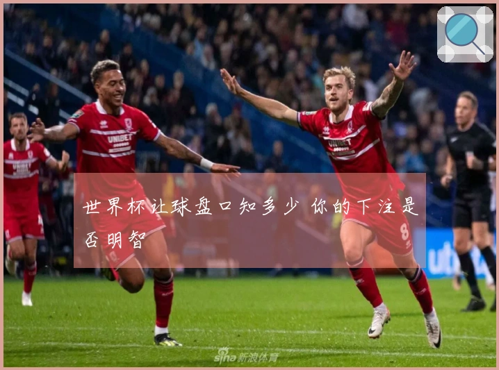 世界杯让球盘口知多少 你的下注是否明智